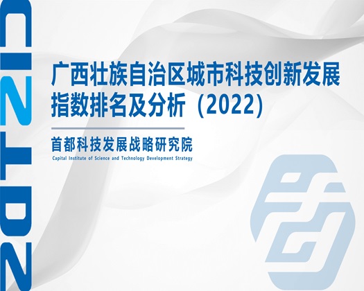 看片网页骚b【成果发布】广西壮族自治区城市科技创新发展指数排名及分析（2022）